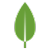 MongoDB